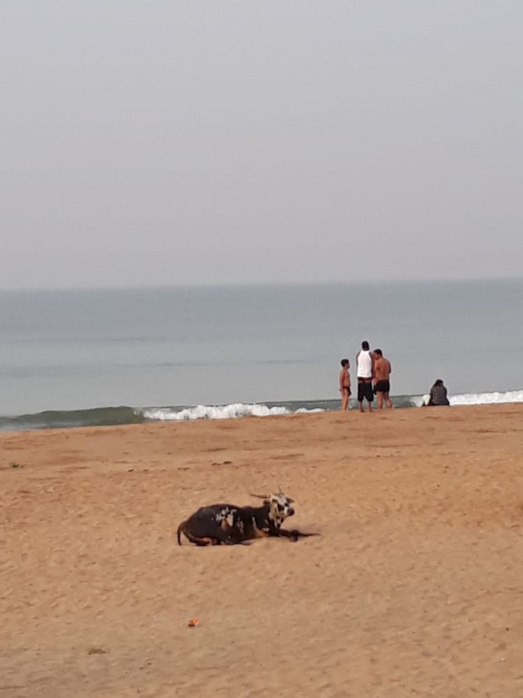 Memoria per India anno zero: l'arrivo a Gokarna, nel Karnataka