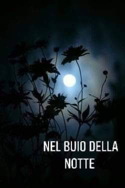 Memoria per Nel buio della notte