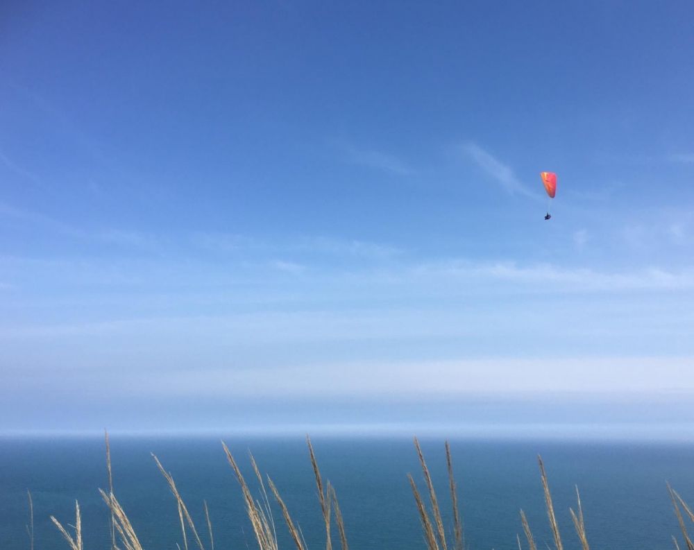 Memoria per Silvia Gelosi - Respirare nuotando il mare