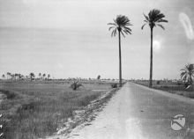 img - Le colonie passano, le strade restano. Libia, 1935-37