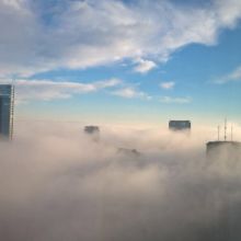 img - Memorie e ricordi immortali