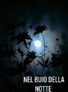 Nel buio della notte