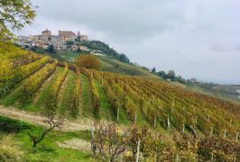 Langhe piemontesi - Fascino di sapori e colori