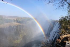 Mal d’Africa - Dallo Zambia con amore