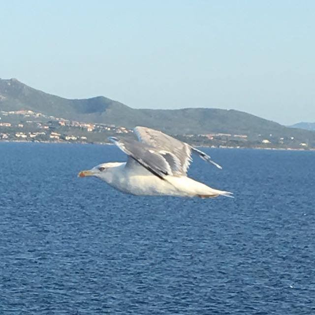 ”Vorrei ascoltare”: sincere parole tra le onde del mare