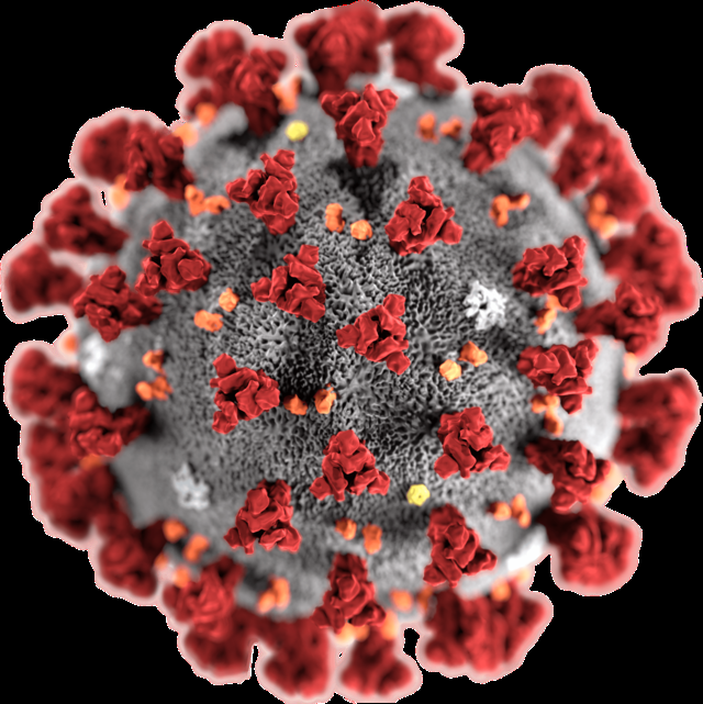 CORONAVIRUS - LA CINA SAPEVA GIÀ A NOVEMBRE 