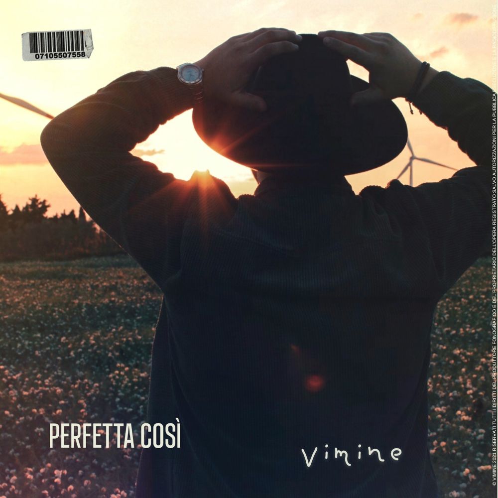 VIMINE - “PERFETTA COSÌ” PER LA COMPLICITÀ 