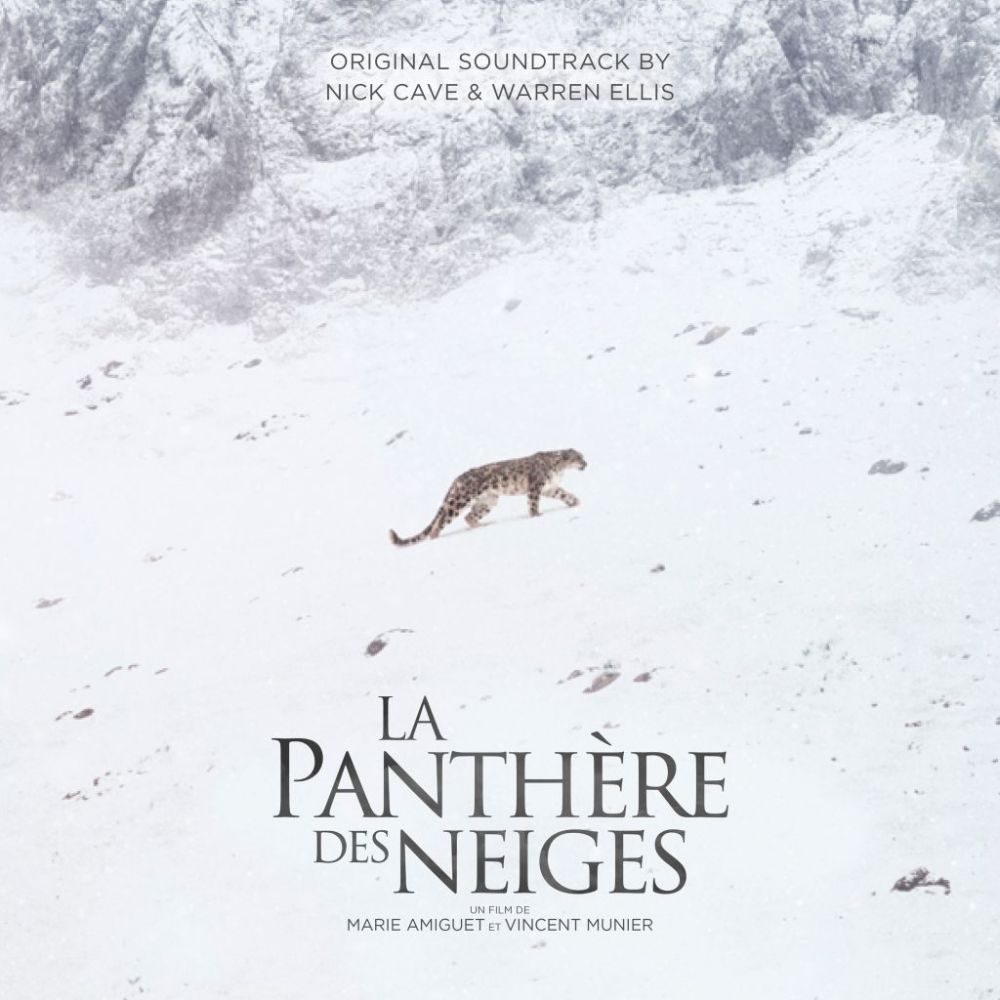 “LA PANTERA DELLE NEVI” - Il docu film con la colonna sonora originale di Warren Ellis con Nick Cave in anteprima venerdì 20 maggio al SALONE DEL LIBRO