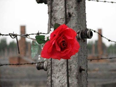 27 gennaio, l’emozione di ricordare