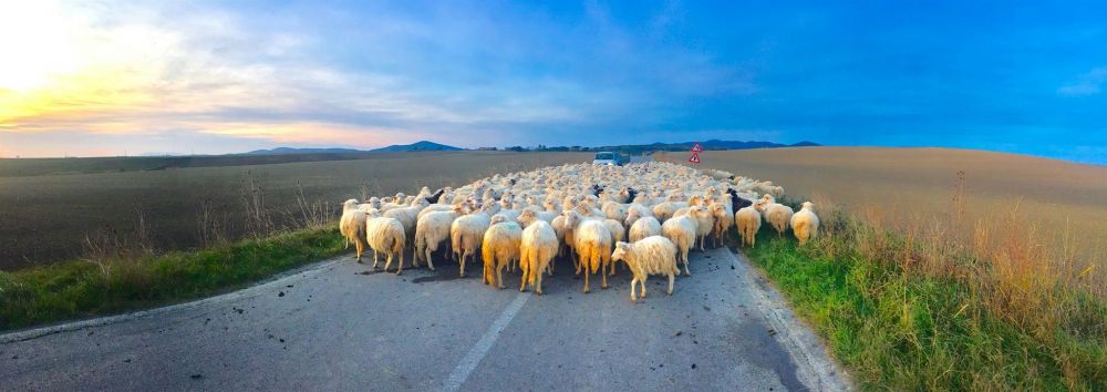 <<SARDINIA NO ESTE ITALIA>>: MARE, SOLE E POCA VOGLIA DI LAVORARE