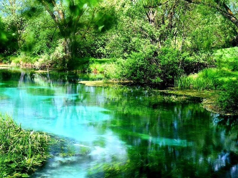 "CAMPANE A MORTO" DI HELENA MALACHOVA